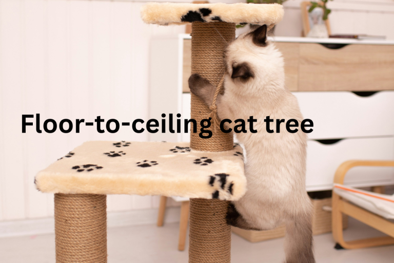 Floor to Ceiling Cat Tree: The Perfect Play Tower for Cats