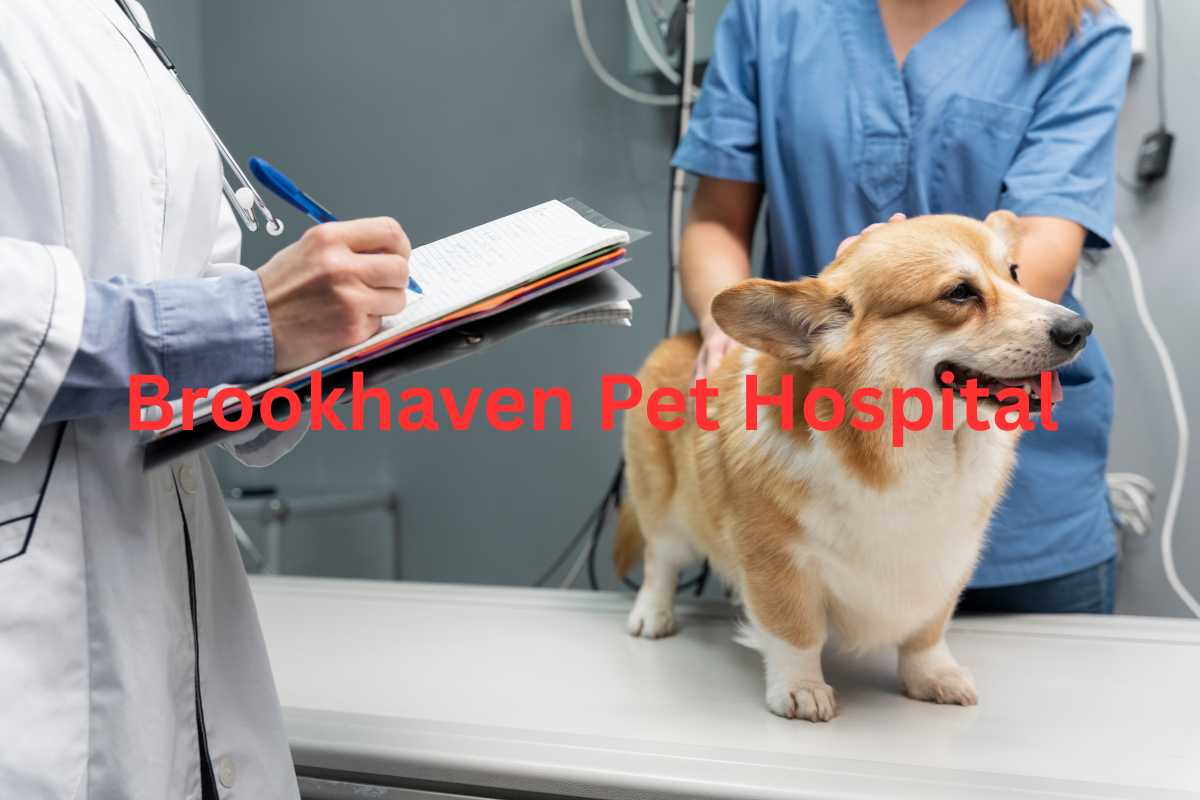 Brookhaven Pet Hospital