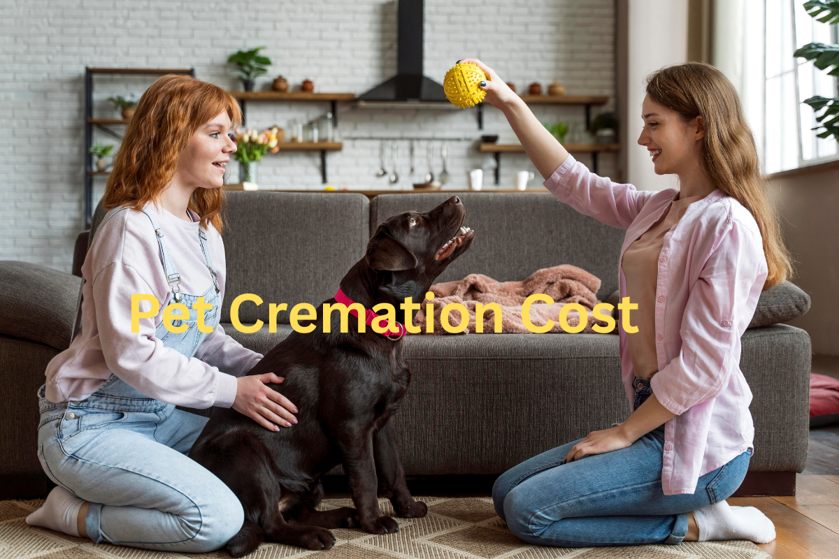 Pet Cremation Cost