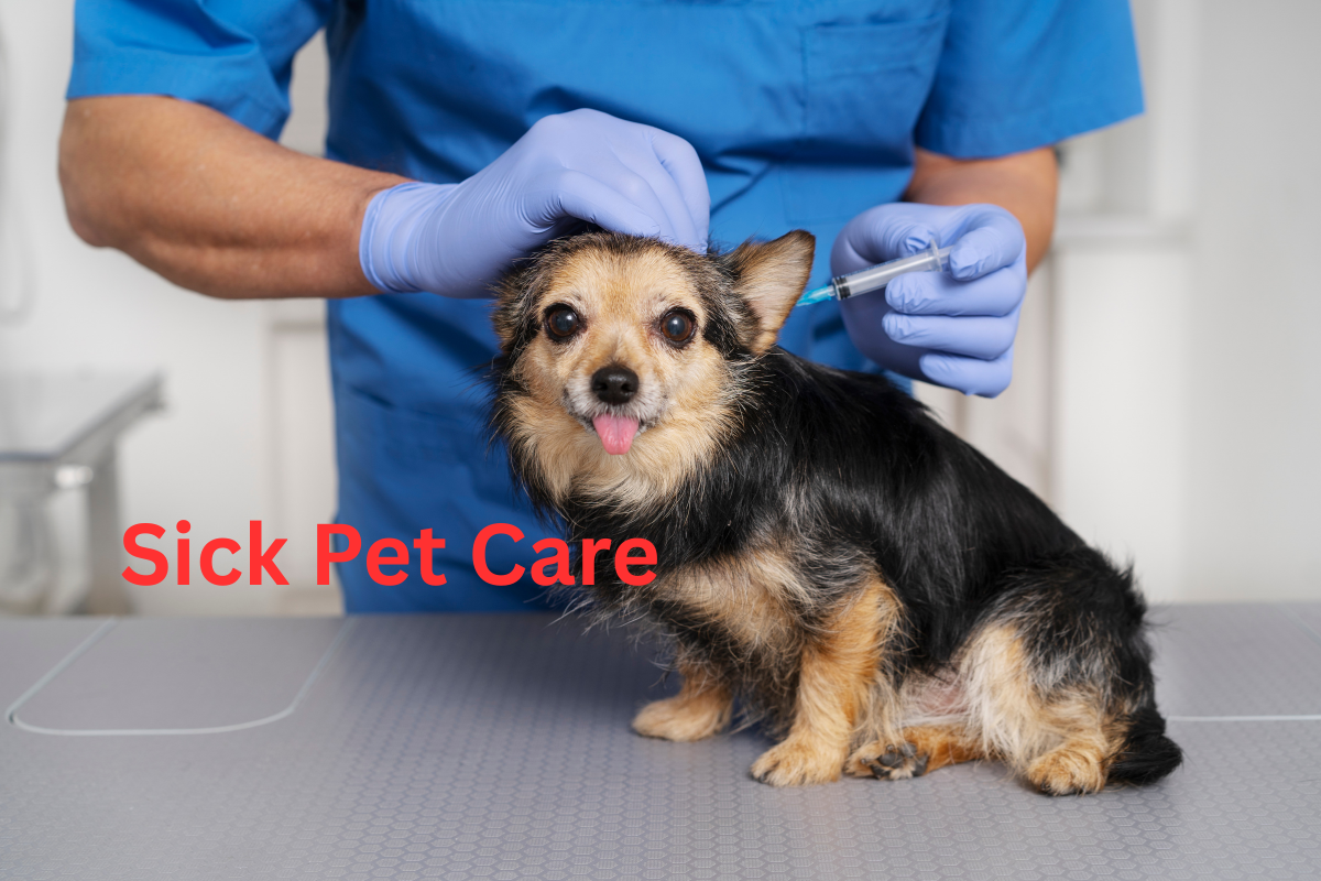 Sick Pet Care