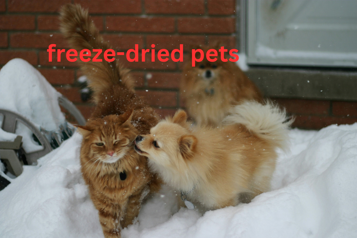 freeze-dried pets