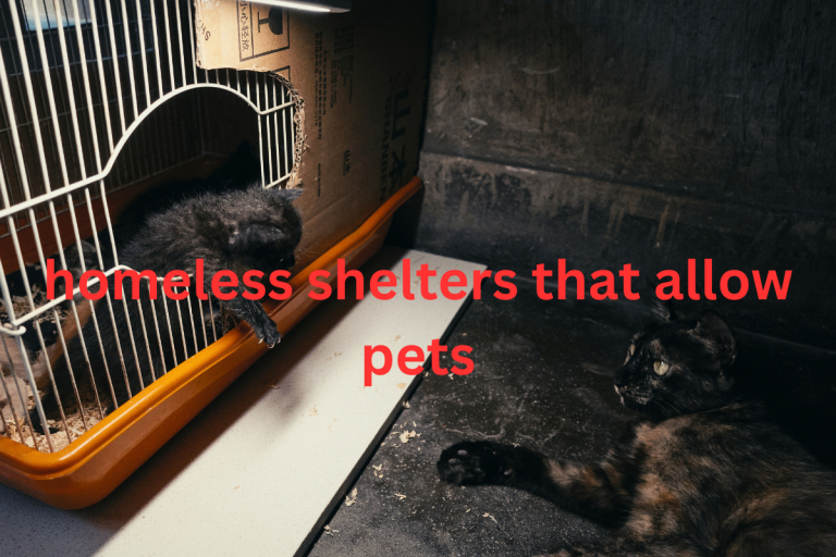 homeless shelters that allow pets