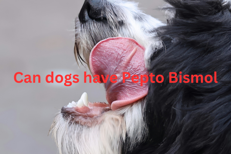 can dogs have pepto bismol