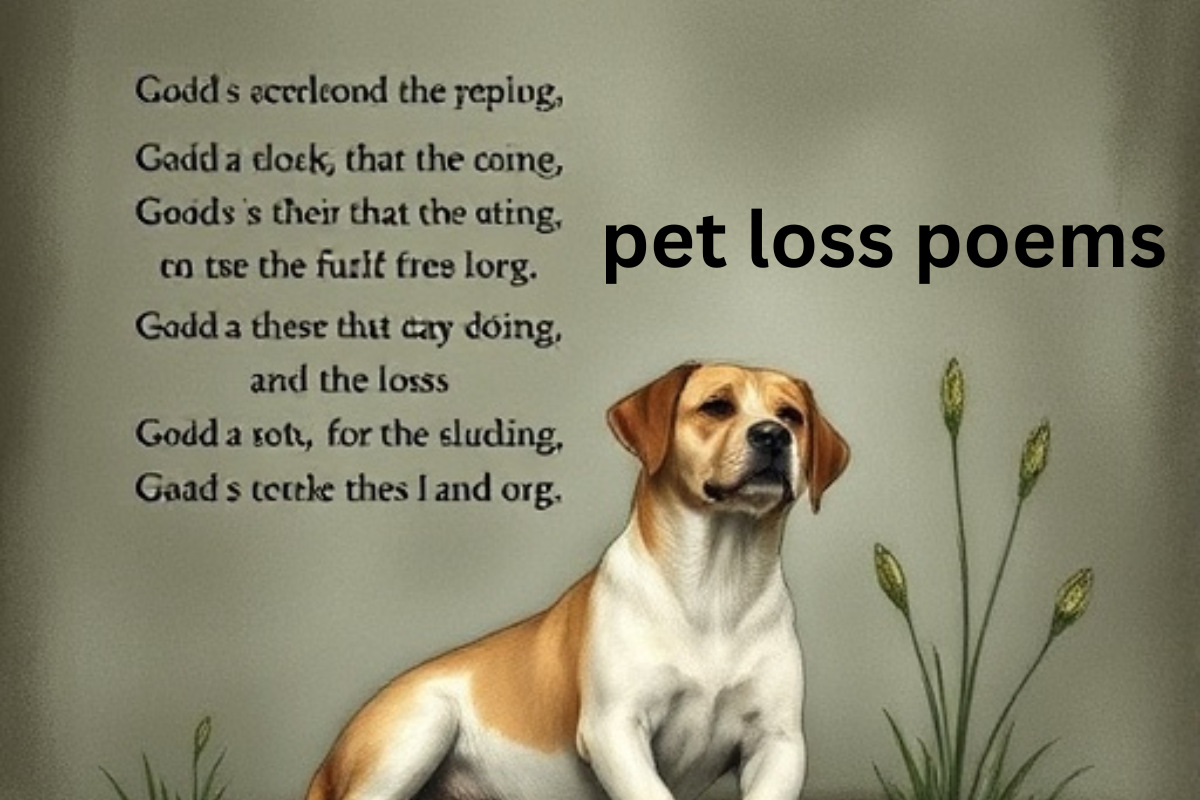 pet loss poems