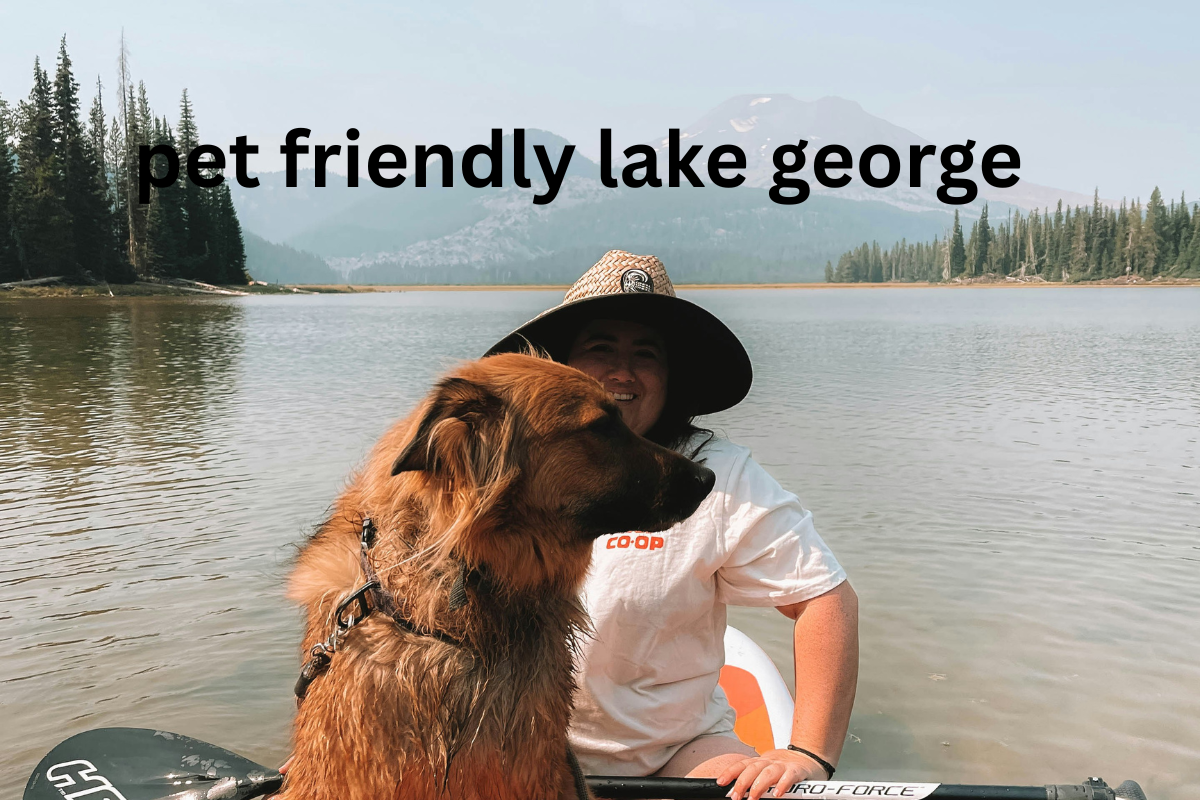pet friendly lake george