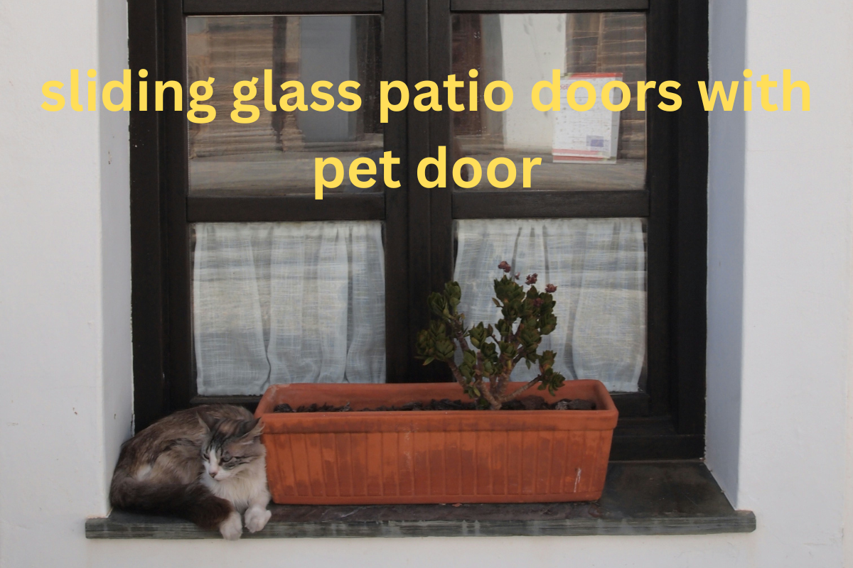 sliding glass patio doors with pet door