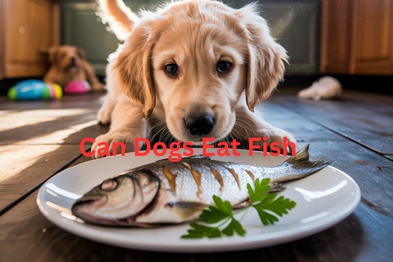 Can Dogs Eat Fish