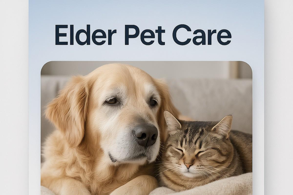 Elder Pet Care